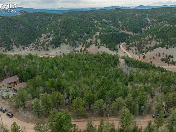 881 Timber Ridge Rd, Divide, CO 80814
