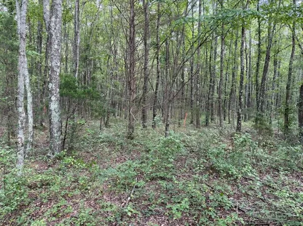 1897 Goforth Rd Lot 7, Morrison, TN 37357