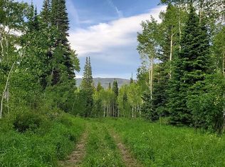 20410 King Bolt Trl, Oak Creek, CO 80467