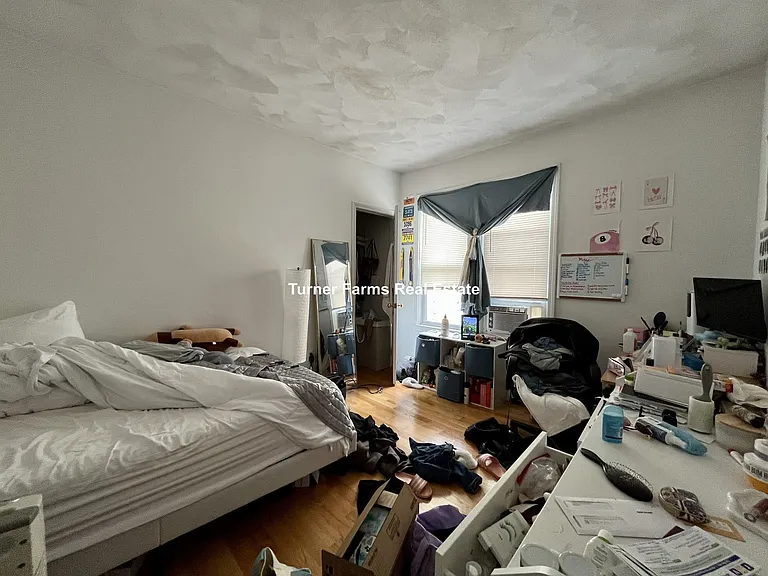 58 Mansfield St — Photo 19