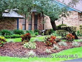 4th image of 34359 Whispering Oaks Blvd