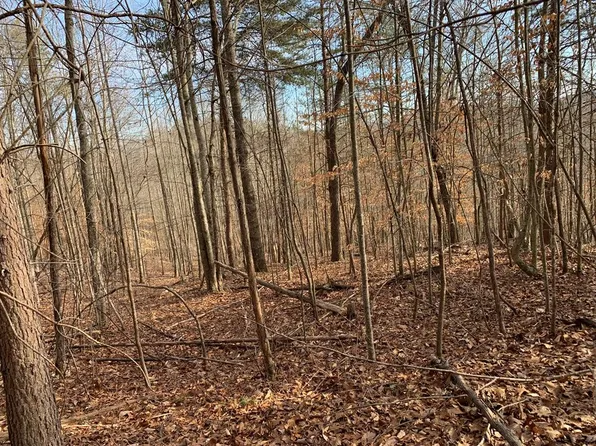 161 Whistle Valley Rd, New Tazewell, TN 37825