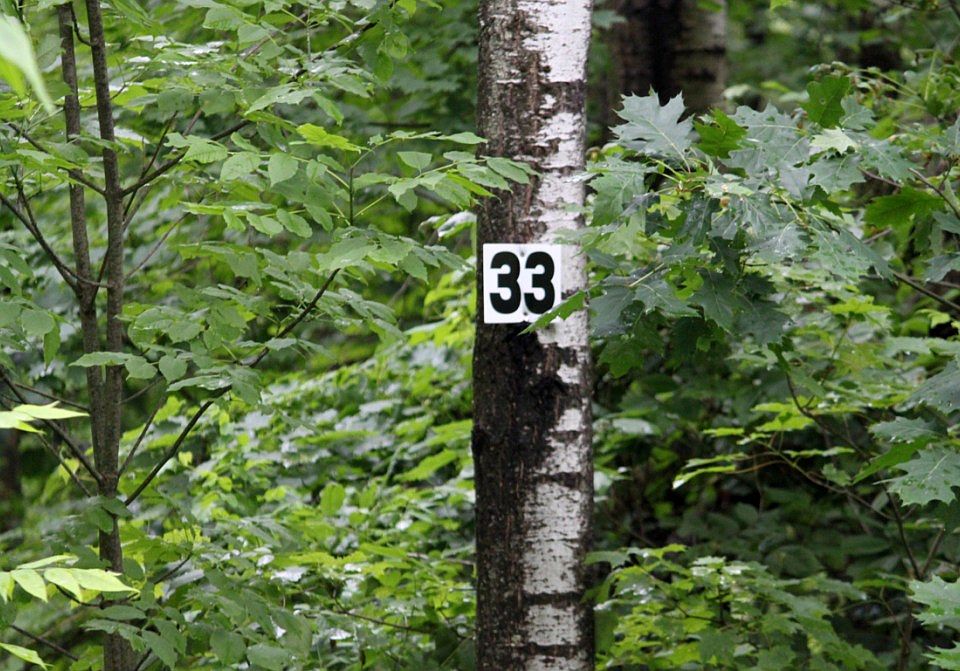 1st image of 0 Berry Dr