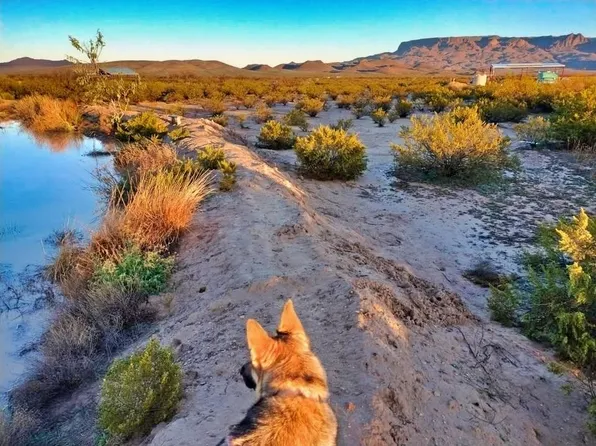4400 E Este Rd, Terlingua, TX 79852