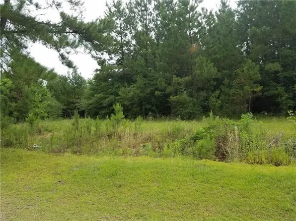 82397 Bush Vineyard Ln, Bush, LA 70431