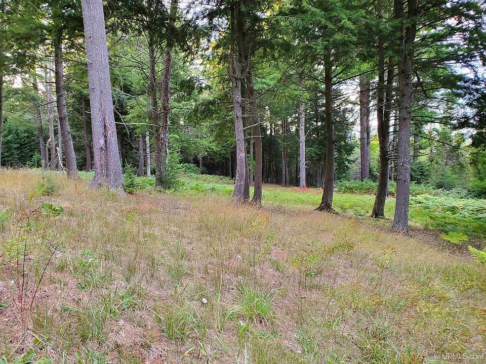 W Stella Lake Rd, Wetmore, MI 49895 Zillow