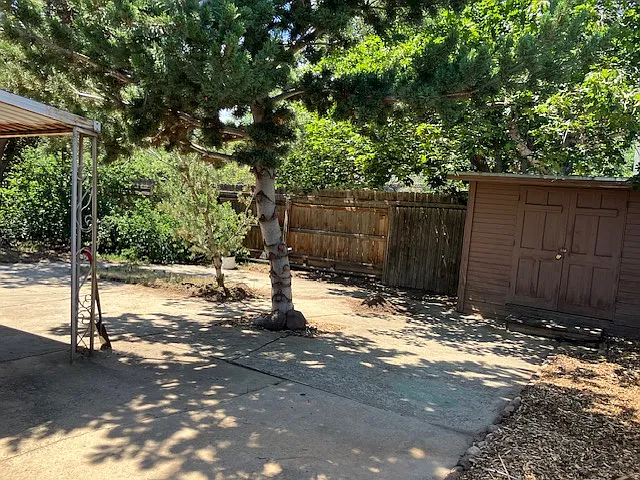 back yard