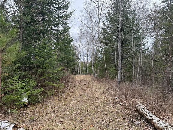5th image of 31938 E Gunn Lake Trl
