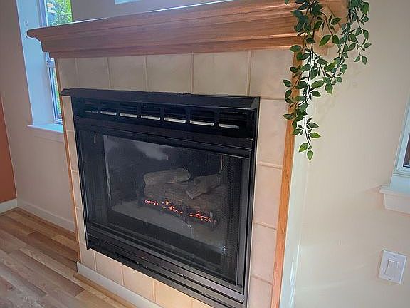 Gas Range Fireplace 