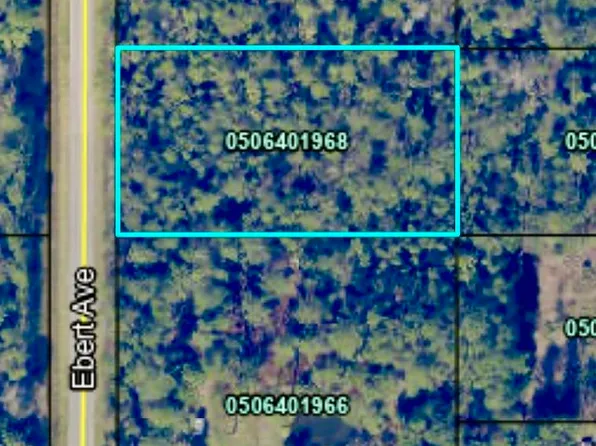 10550 Ebert Ave, Hastings, FL 32145