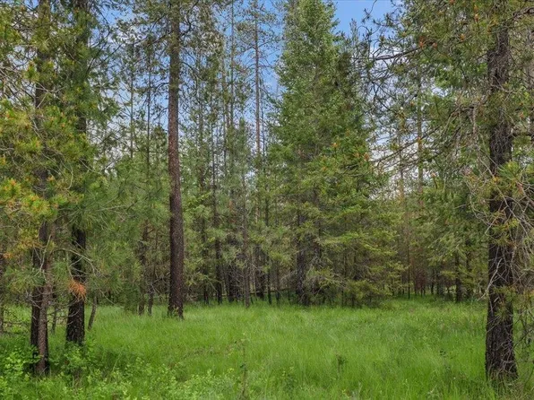 3804 Meadowlark Way, Loon Lake, WA 99148