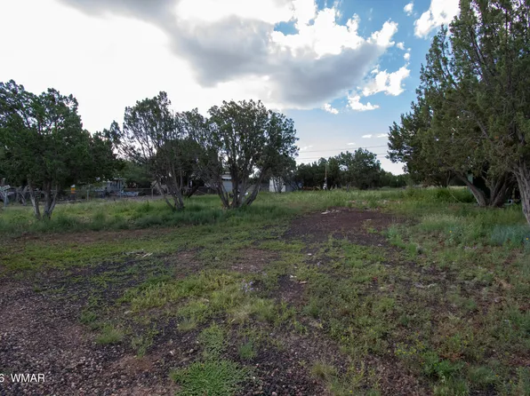 8497 Canyon Dr, Show Low, AZ 85901