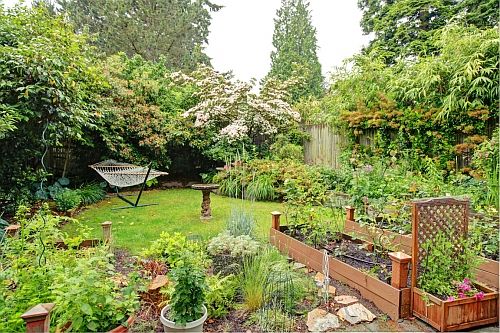 Owner Yard