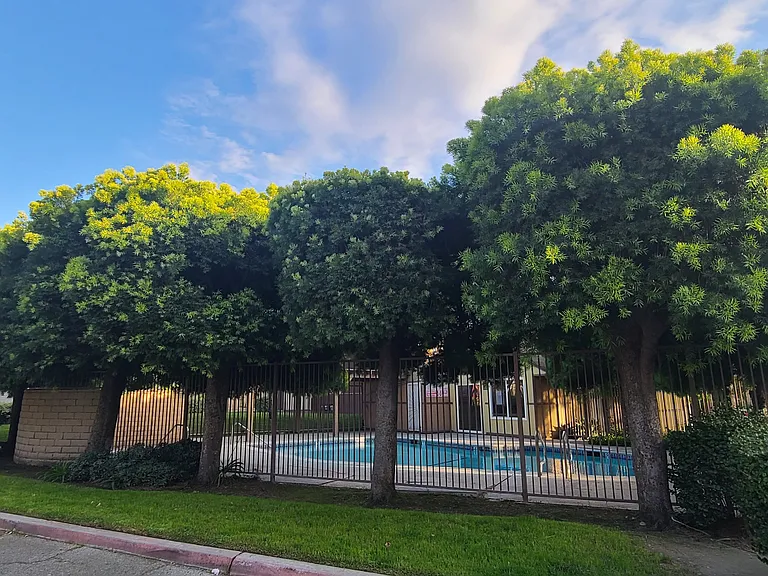 12828 Ramona Blvd #19 — Photo 6