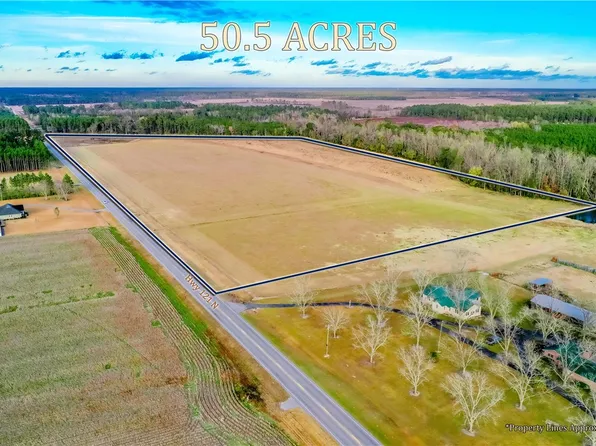 0 State Highway 121 N, Blackshear, GA 31516
