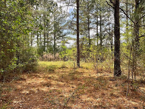 4th image of LOT & 2c Fuller Springs Dr #2B