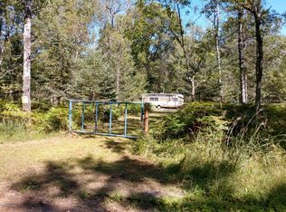 11130 S Jenks Rd, Baldwin, MI 49304
