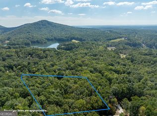 1205 Coachwhip Ct, Jasper, GA 30143