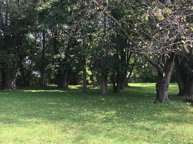 41 Normal Ave #A — Photo 12