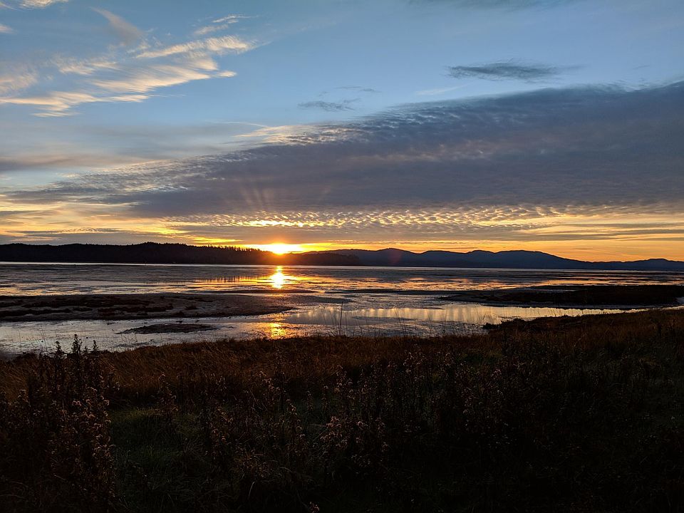 Willapa Bay at Sunrise