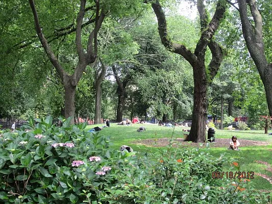 Rented by Majesty Management | media 47