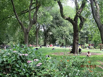 Rented by Majesty Management