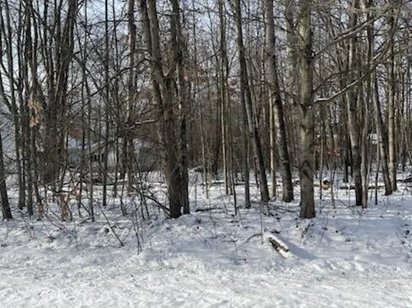 LOT 171 Englewood Dr, Roscommon, MI 48653