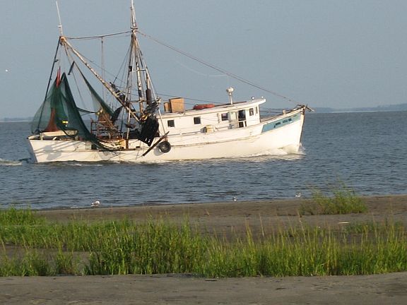 Shrimp Boat Passing