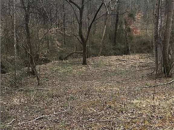 5th image of 349 Crawley Dr