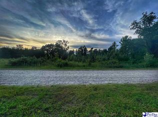 LOT 14 S McLaurin Lake Cir, Dillon, SC 29536