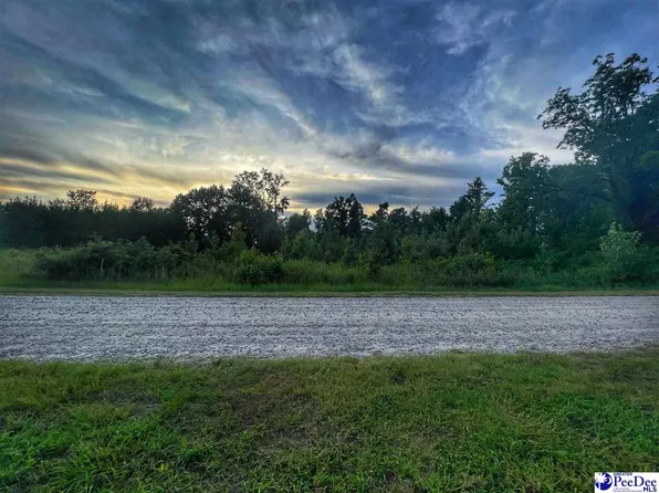 LOT 14 S McLaurin Lake Cir, Dillon, SC 29536