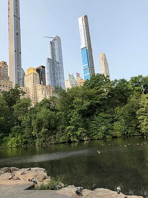Rented by Douglas Elliman | media 38