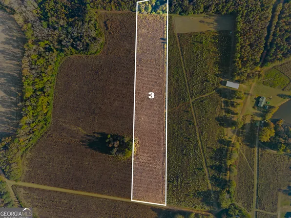 0 Waters Ln Lot 3, Claxton, GA 30417