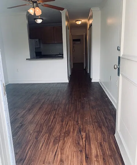 2833 Magazine St #204 — Photo 3
