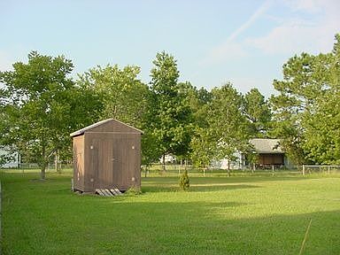 Shed in Back yard