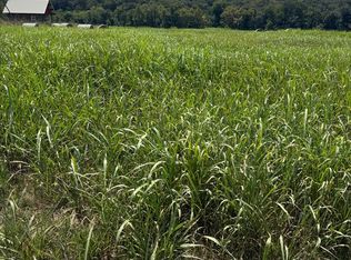 39 White River Run #40, Guion, AR 72540