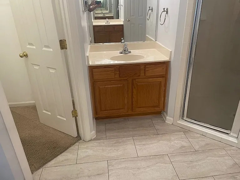 244 E Betony Branch Way — Photo 10