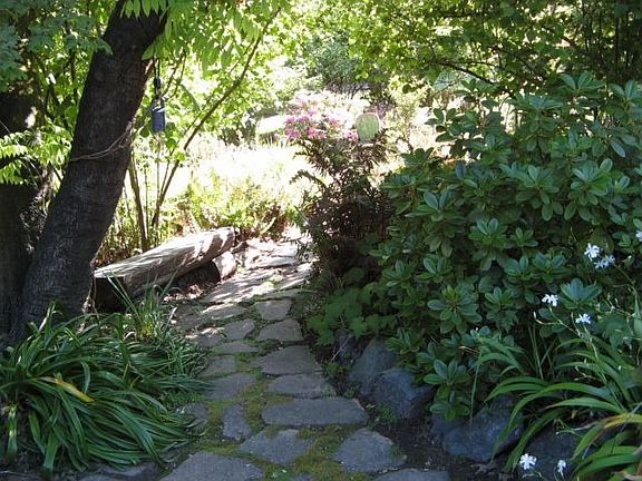 Fern garden path