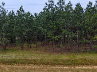 5/ACRE S County Road 73, Headland, AL 36345