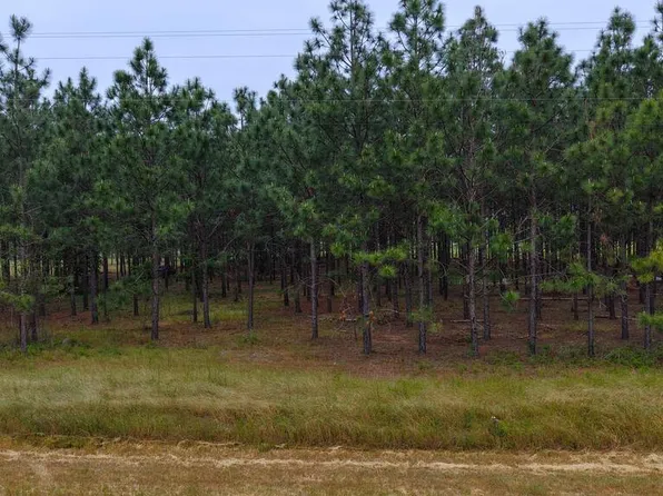 5/ACRE S County Road 73, Headland, AL 36345