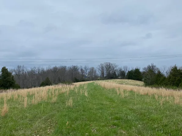 Stone School House Rd, Williamstown, KY 41097