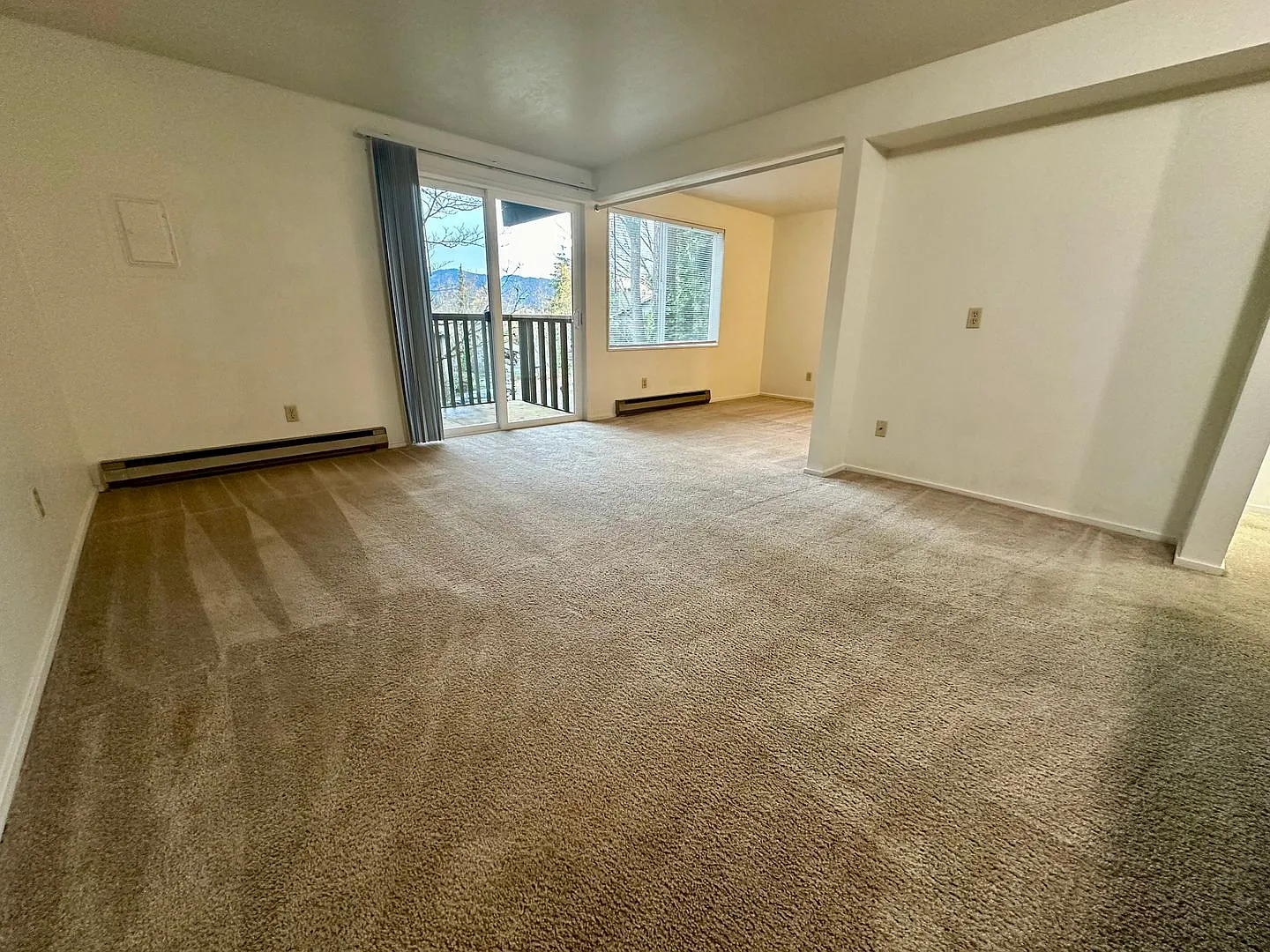 BI3120 — Photo 4