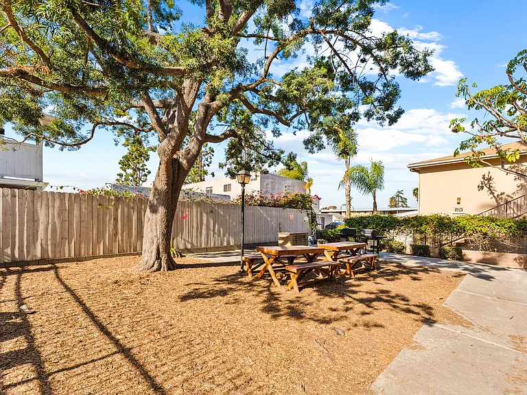Pacific Pines — Photo 10