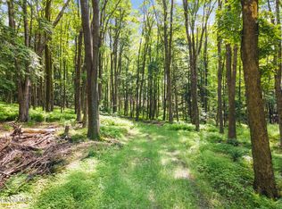 238 Bear Gulch Rd, Summit, NY 12175