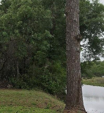 4th image of 9313 E Gulf To Lake Hwy