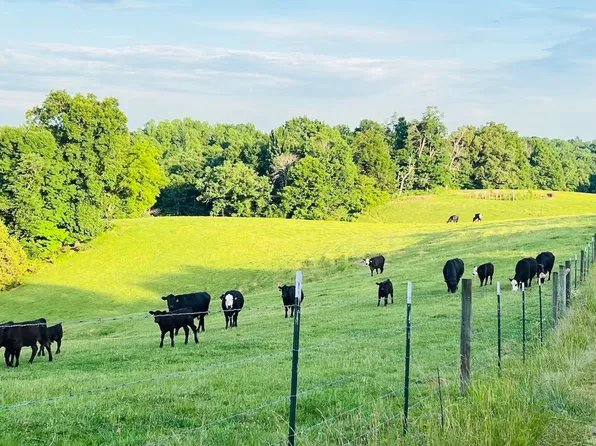 0 Crocus Rd Tract 3, Glens Fork, KY 42741