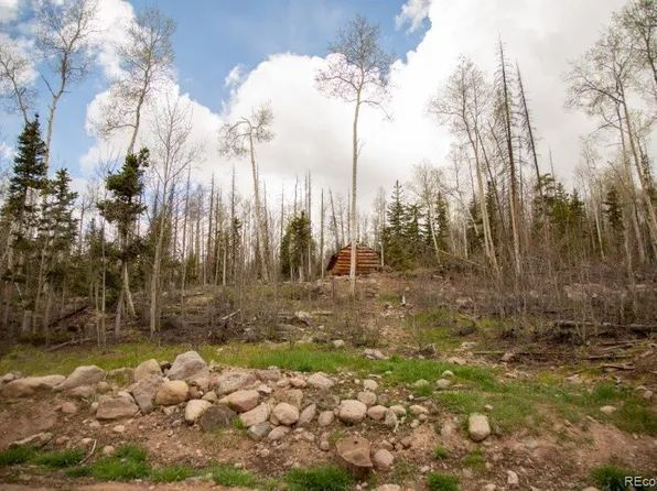 5353 Forest Road 504, Creede, CO 81130