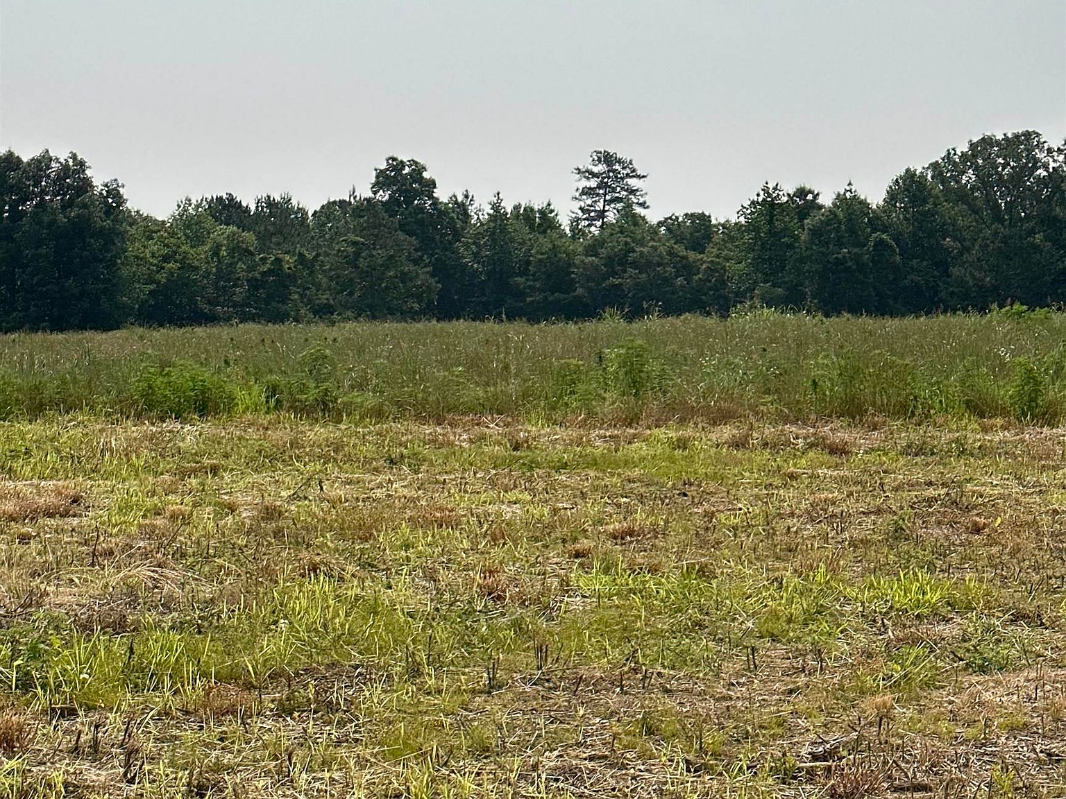 TRACT 35 Hays Mill Rd, Elkmont, AL 35620 MLS 1835893 Zillow