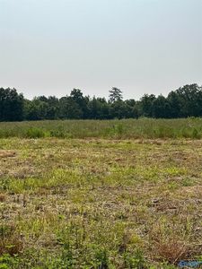 TRACT 35 Hays Mill Rd, Elkmont, AL, 35620