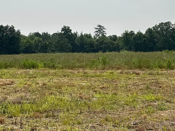 TRACT 35 Hays Mill Rd, Elkmont, AL 35620